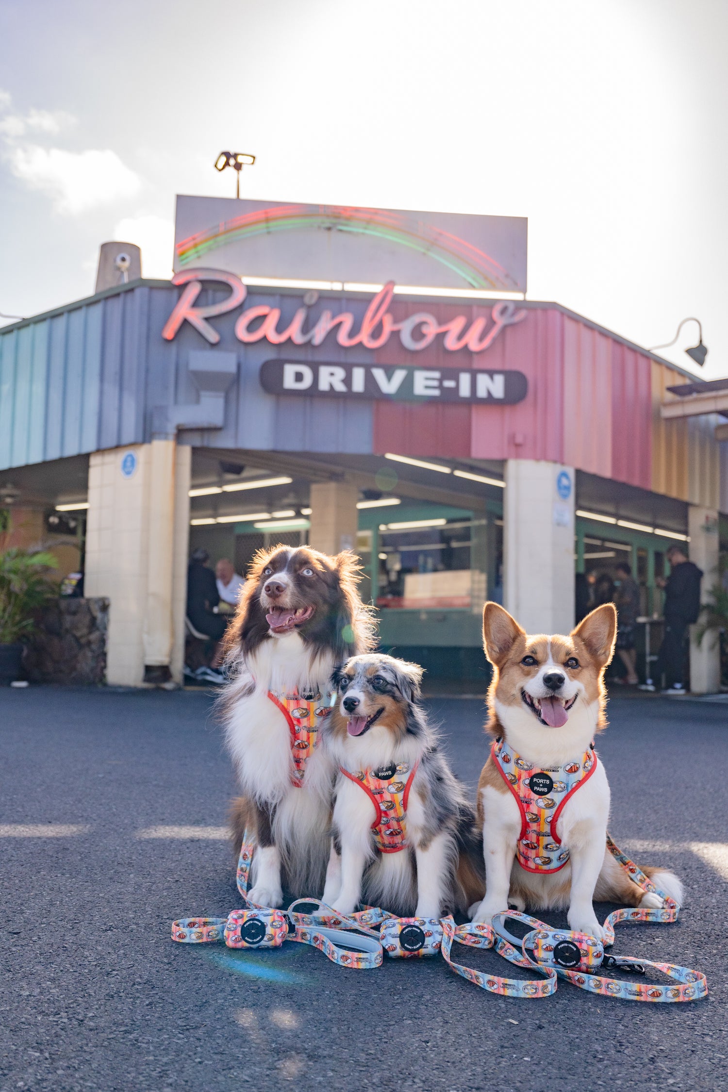 Ports + Paws Collaboration