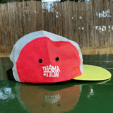 in4mation x RDI Logo 5 Panel Hat