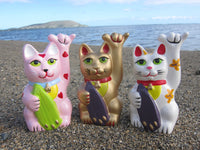 Shaka Neko
